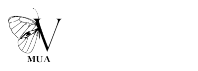 Valery Make-Up Artist